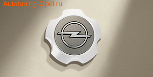 Центральный колпачек ступицы диска Opel Antara R18